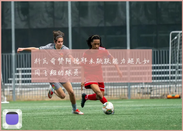 科瓦奇赞阿德耶米跳跃能力超凡如同飞翔的球员