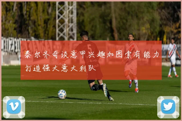 泰尔齐奇谈意甲兴趣加图索有能力打造强大意大利队